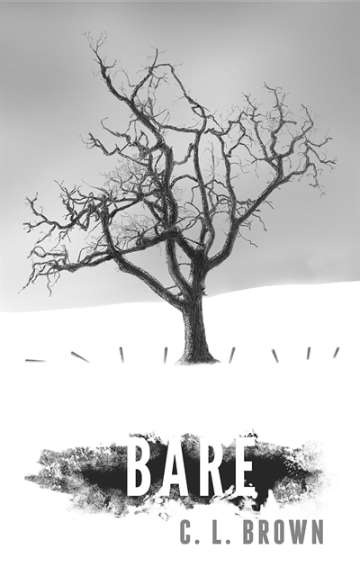 C.L. Brown - BARE, E-bok