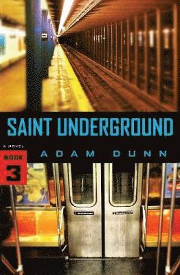Adam Dunn - Saint Underground, Häftad