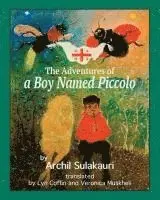 Archil Sulakauri - The Adventures of a Boy Named Piccolo, Häftad. Tillgänglighet: Lägg i varukorg