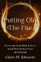 Claire M. Schwartz - Putting Out the Fire: Nurturing Mind, Body & Spirit in the First Week of Loss and Beyond, Häftad. Tillgänglighet: Lägg i varukorg