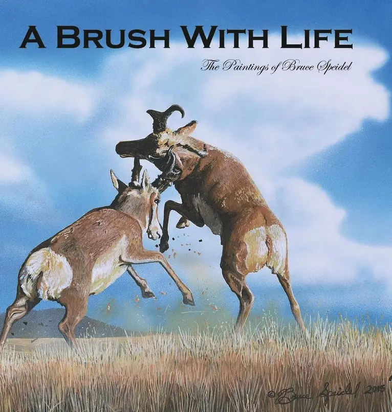 Bruce Speidel - Brush With Life, Inbunden. Tillgänglighet: Lägg i varukorg