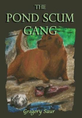 Gregory Saur - Pond Scum Gang, Inbunden. Tillgänglighet: Lägg i varukorg