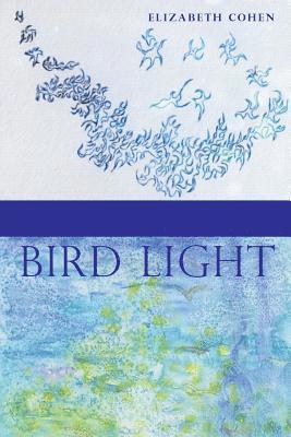 Elizabeth Cohen - Bird Light, Häftad