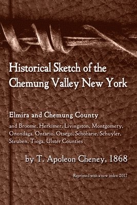 T Apoleon Cheney - Historical Sketch of the Chemung Valley, New York, Häftad