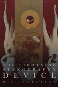 Lightning Stenography Device