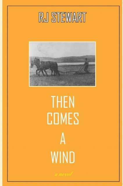 Ronald (RJ) Stewart - Then Comes a Wind, E-bok