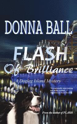 Donna Ball - Flash of Brilliance, Häftad