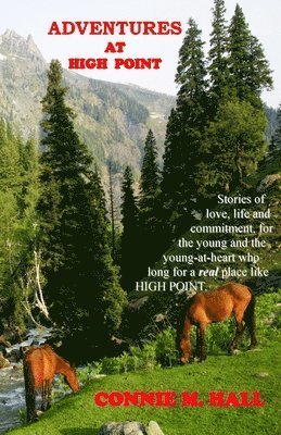 Connie M. Hall - Adventures At High Point: Short Stories About Life - The Way It Used To Be, Häftad