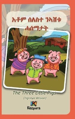 Seleste N'ashtu Hase'matat - Tigrinya Children's Book, Inbunden