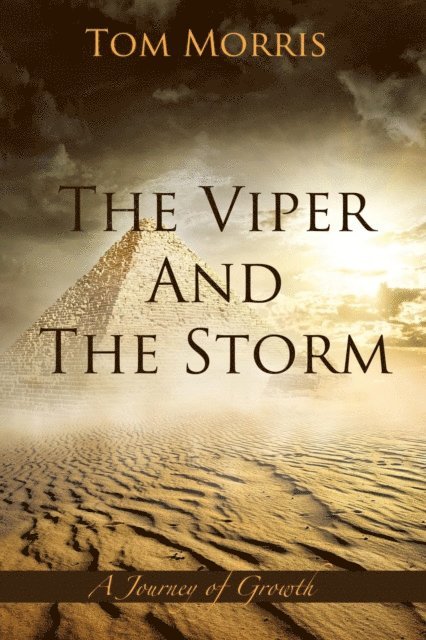 Tom Morris - Viper and the Storm, E-bok