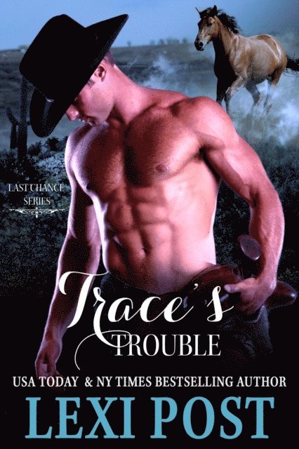 Lexi Post - Trace's Trouble, E-bok