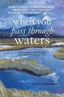 Nicole Seitz - When You Pass Through Waters: Words of Hope and Healing from Your Favorite Authors, Häftad