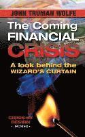 John Truman Wolfe - The Coming Financial Crisis: A Look Behind the Wizard's Curtain, Häftad