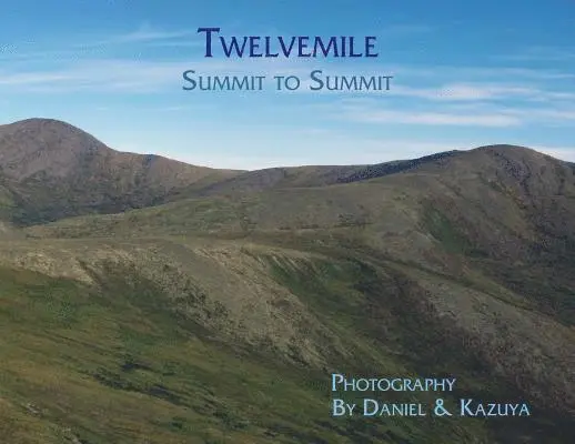Daniel H Wieczorek - Twelvemile, Häftad. Tillgänglighet: Lägg i varukorg
