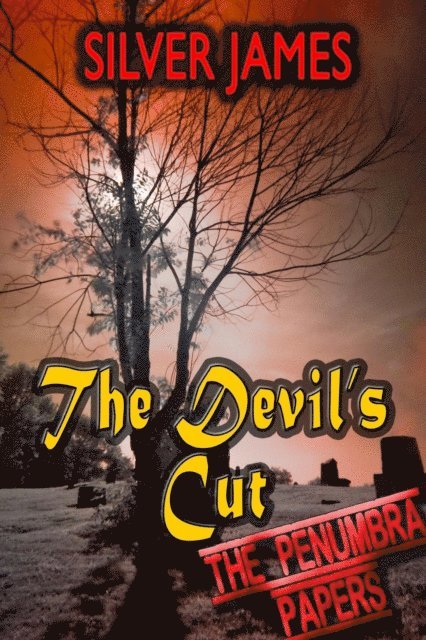 Silver James - Devil's Cut, E-bok