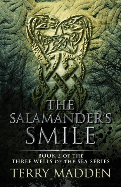 Terry Madden - Salamander's Smile, E-bok