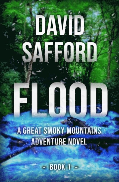 David Safford - Flood: A Great Smoky Mountains Adventure, E-bok. Tillgänglighet: Lägg i varukorg