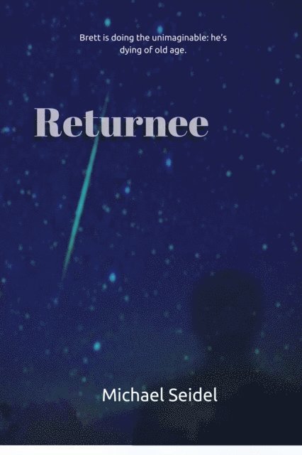 Michael Seidel - Returnee, E-bok