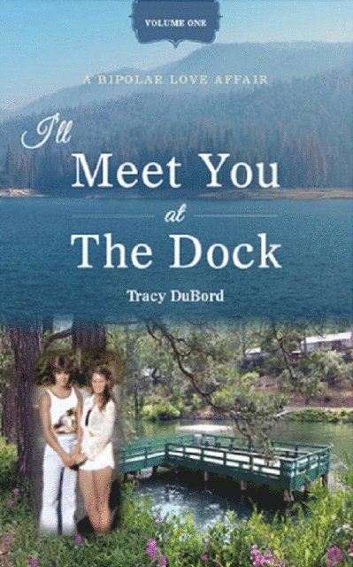 Tracy DuBord - I'll Meet You at the Dock-A Bipolar Love Affair, E-bok