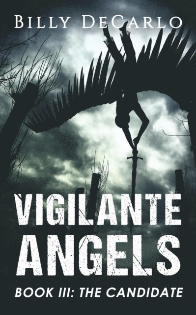 Billy DeCarlo - Vigilante Angels Book III: The Candidate, E-bok