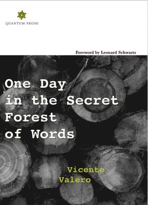 Vicente Valero - One Day in the Secret Forest of Words, Häftad