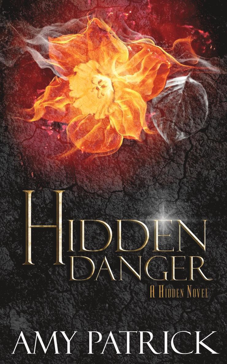 Amy Patrick - Hidden Danger, Book 5 of the Hidden Saga, Häftad. Tillgänglighet: Lägg i varukorg