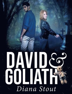 Diana Stout - David & Goliath, Häftad. Tillgänglighet: Lägg i varukorg
