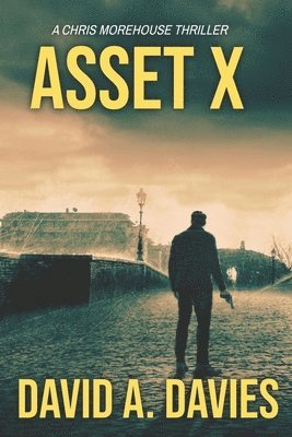 David A. Davies - Asset X, Häftad