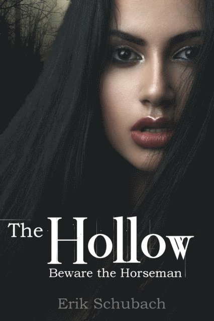 Erik Schubach - Hollow, E-bok