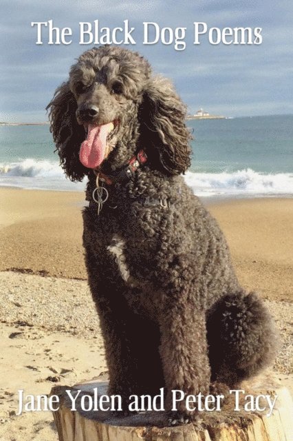 Peter Tacy, Jane Yolen - Black Dog Poems, E-bok