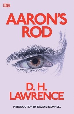 D H Lawrence - Aaron's Rod, Häftad