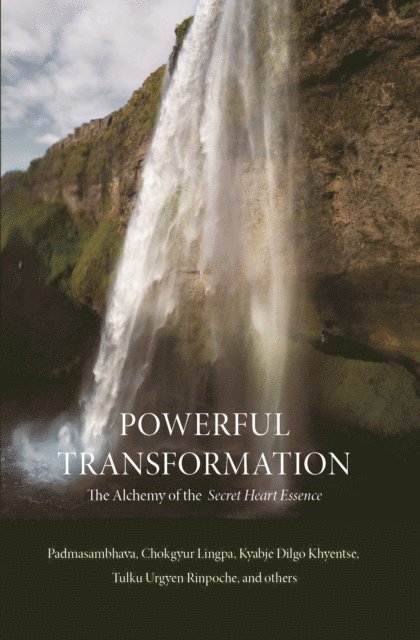 Powerful Transformation, E-bok