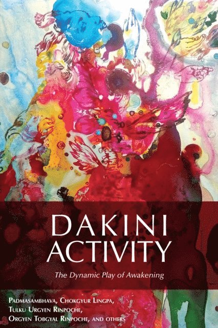 Dakini Activity, E-bok
