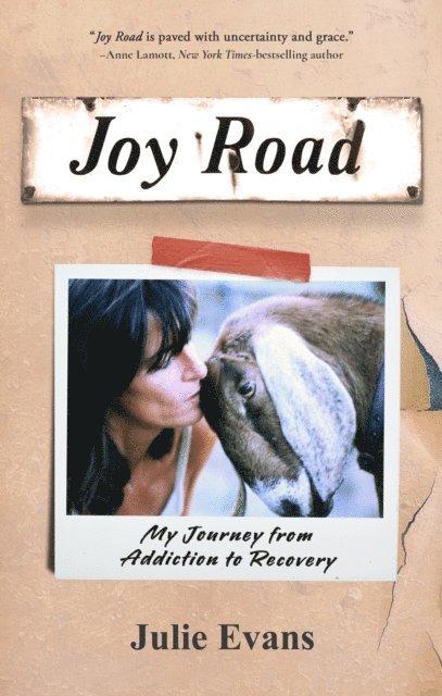 Julie Evans - Joy Road: My Journey from Addiction to Recovery, E-bok