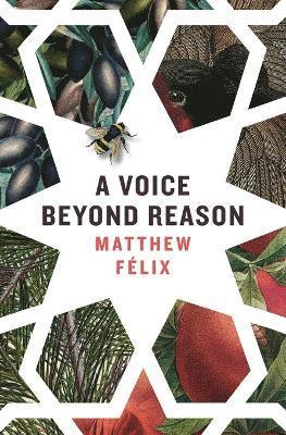 Matthew Félix - Voice Beyond Reason, Häftad