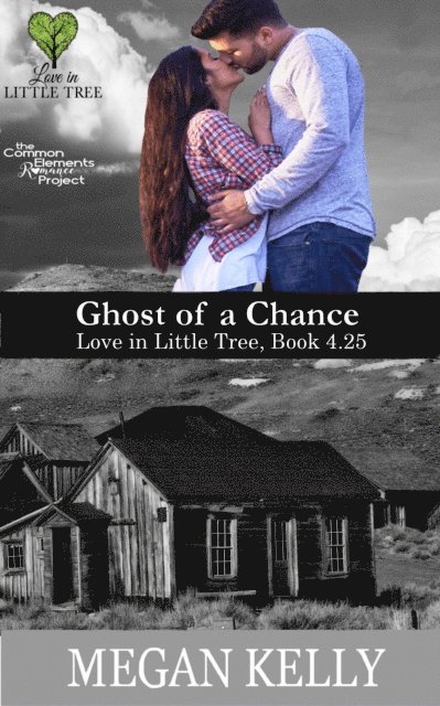 Megan Kelly - Ghost of a Chance: Love in Little Tree Book 4.25, E-bok