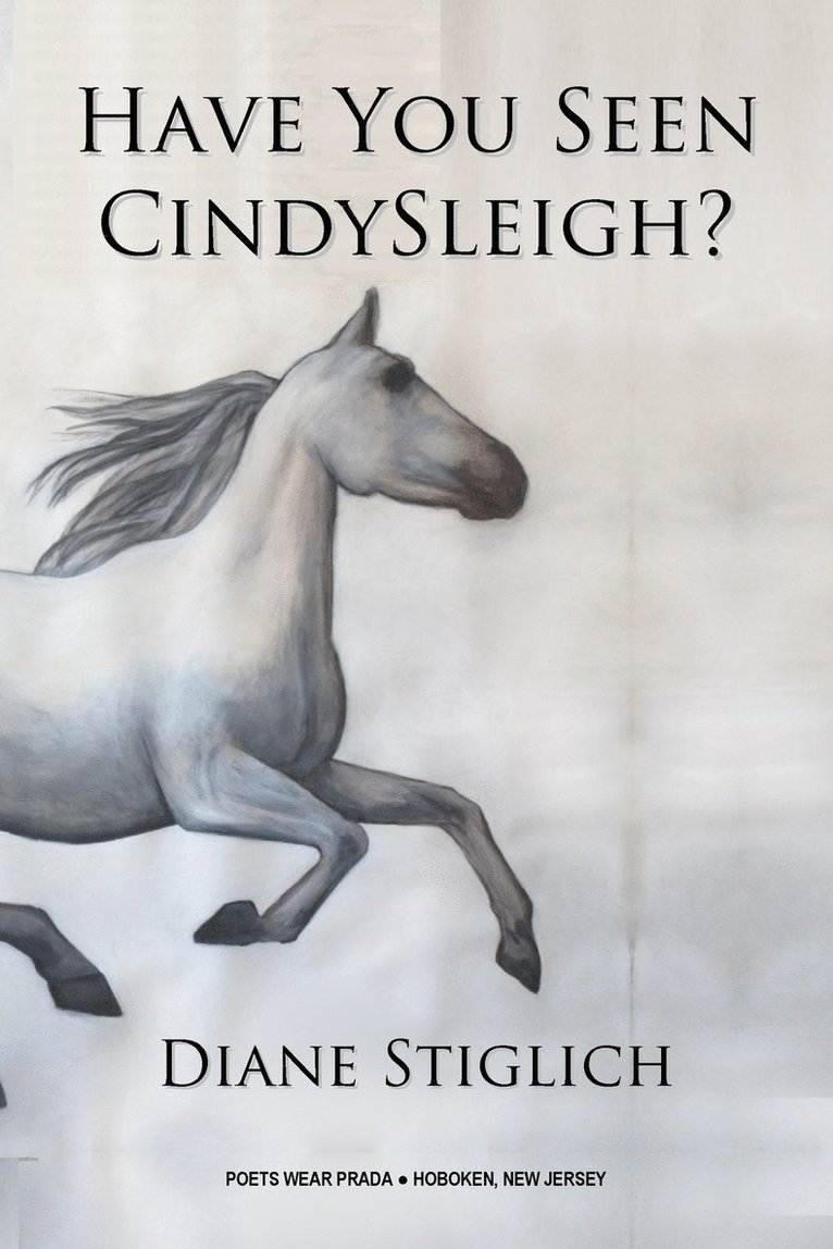 Diane Stiglich - Have You Seen CindySleigh?, Häftad