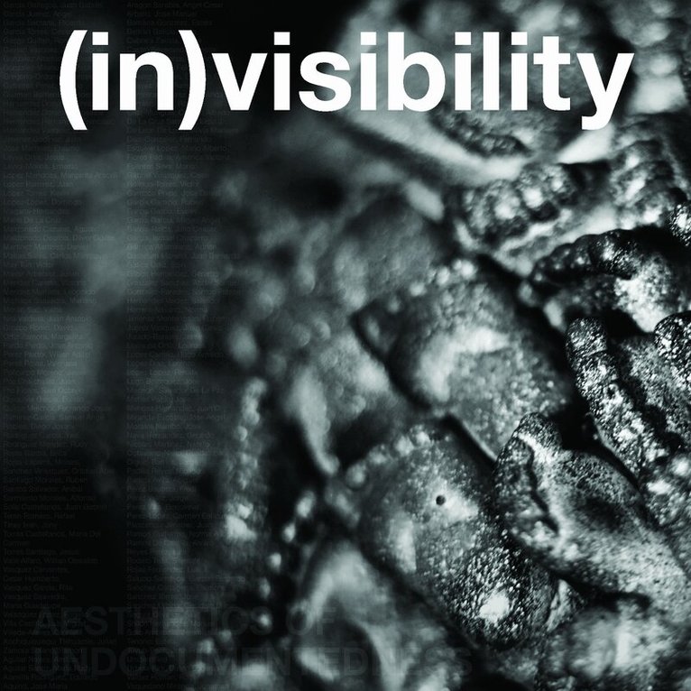 Fowler Museum at UCLA - (in)visibility, Häftad