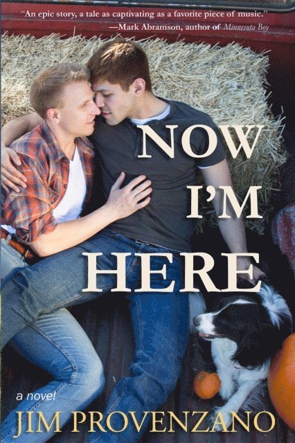 Jim Provenzano - Now I'm Here, E-bok