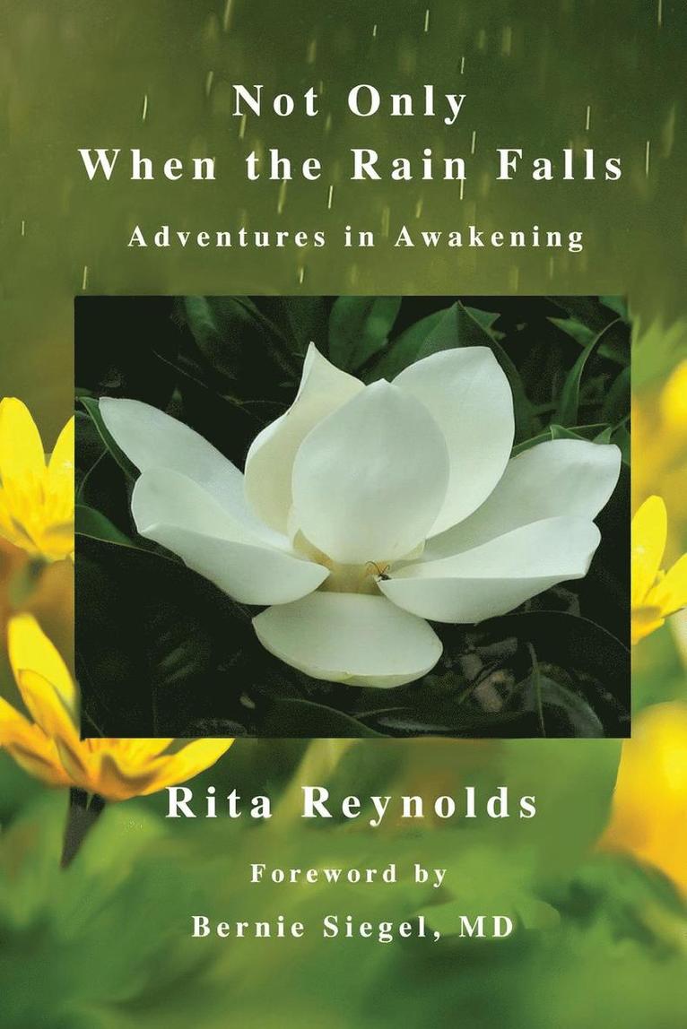 Rita Reynolds - Not Only When The Rain Falls, Häftad
