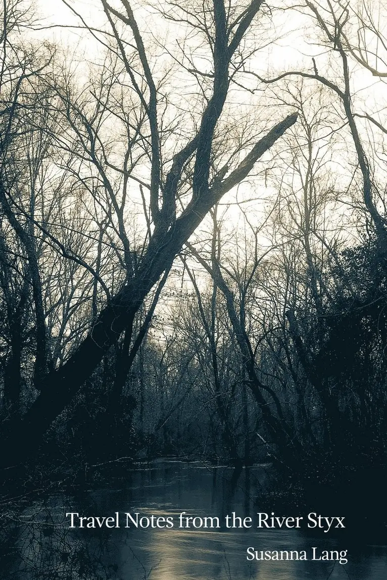 Susanna Lang - Travel Notes from the River Styx, Häftad. Tillgänglighet: Lägg i varukorg