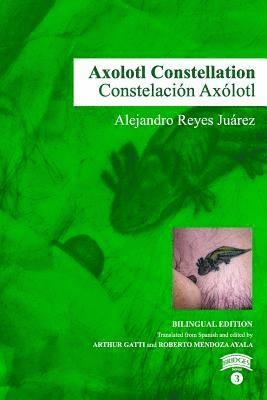 Axolotl Constellation, Häftad. Tillgänglighet: Lägg i varukorg