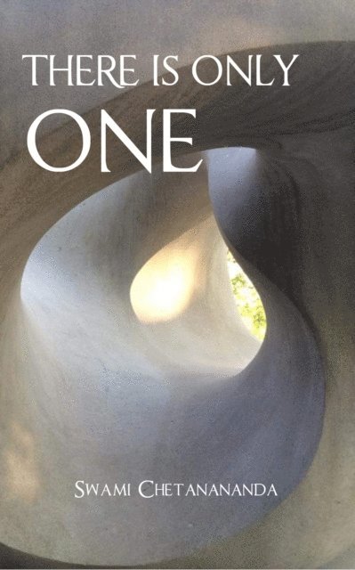 Swami Chetanananda - There Is Only One, E-bok