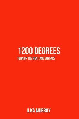 Ilka Torres Murray, David M. Good - 1200 Degrees: Turn Up the Heat and Surface, Häftad