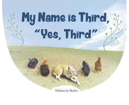 Skyler - My Name is Third, "Yes, Third", Inbunden