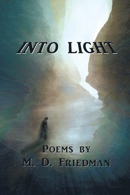 M D Friedman - Into Light, Häftad