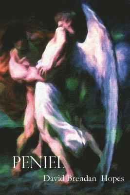 David Brendan Hopes - Peniel, Häftad