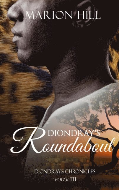 Marion Hill - Diondray's Roundabout, E-bok