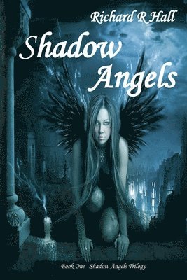 Richard R. Hall - Shadow Angels, Häftad. Tillgänglighet: Lägg i varukorg