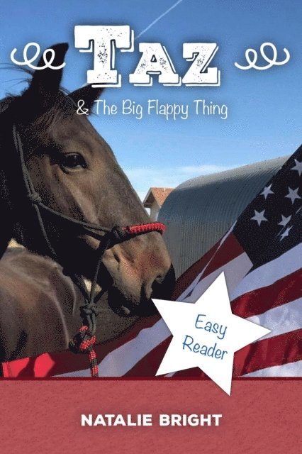 Natalie Bright, Denise McAllister - Taz & The Big Flappy Thing, E-bok